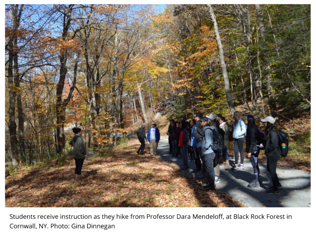 environmental education